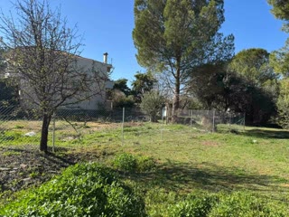350 m² Plot