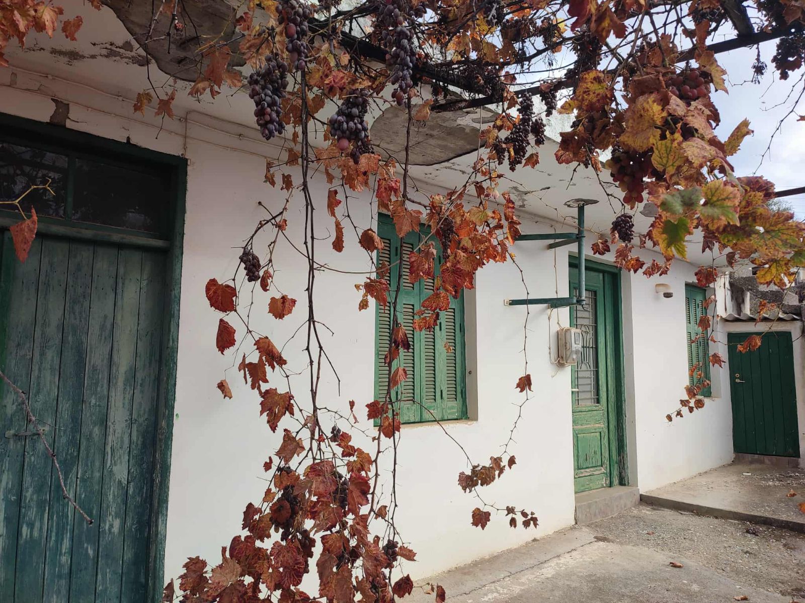 Μονοκατοικία 182 τ.μ.