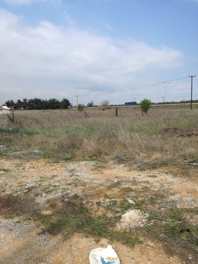 Участок 151 м²