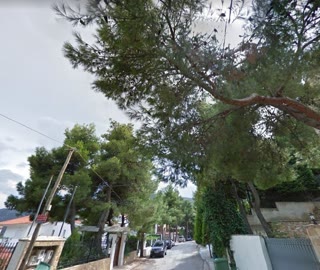 800 m² Plot