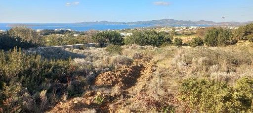 Αγροτεμάχιο 2000τ.μ.
