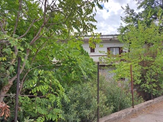 1200 m² Plot