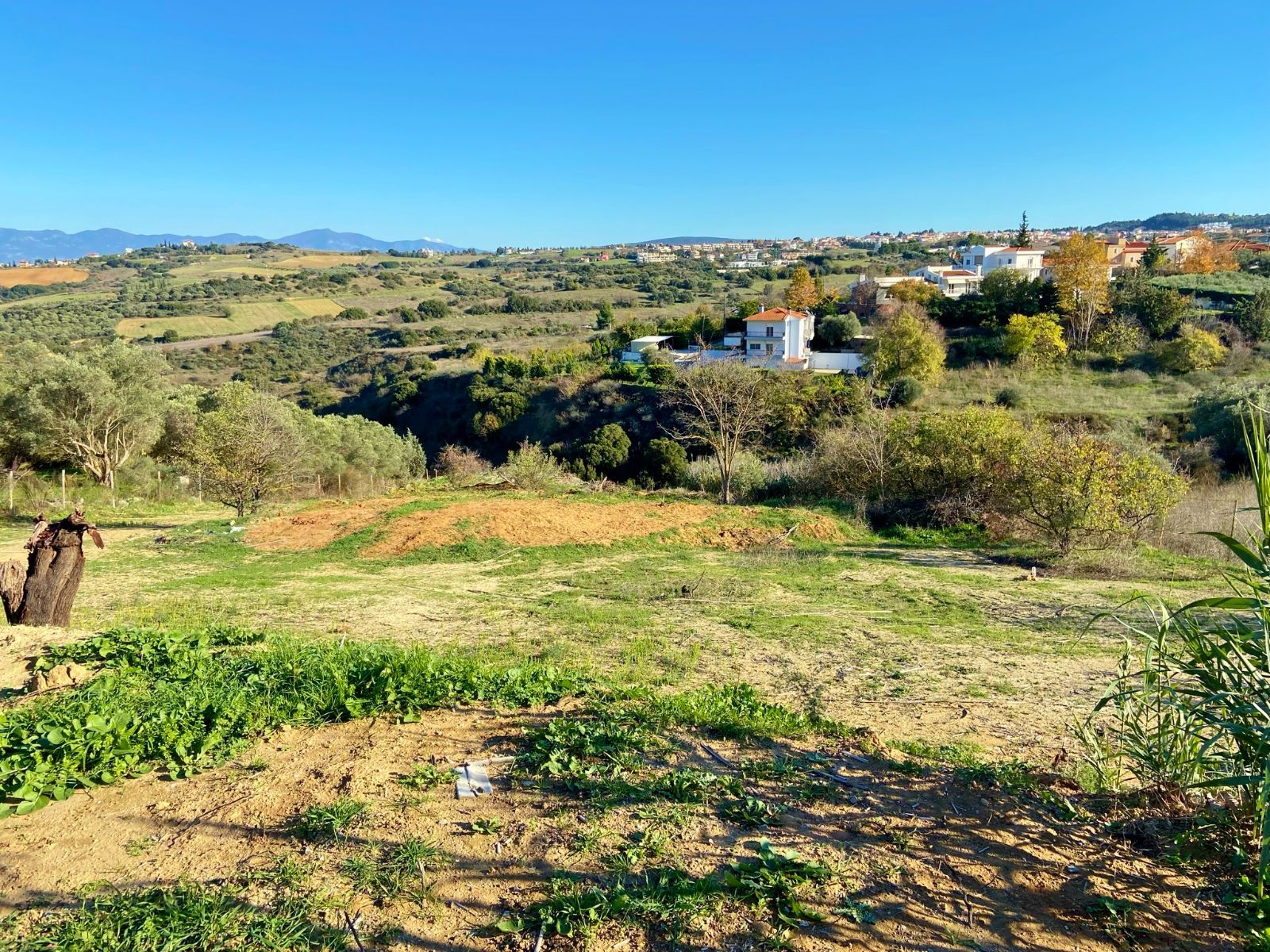 Agricultural Parcel of 2260 m²
