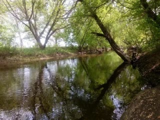 Продам земельну ділянку 12 соток Солоницівка