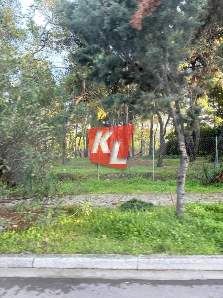 Οικόπεδο 1570τ.μ.