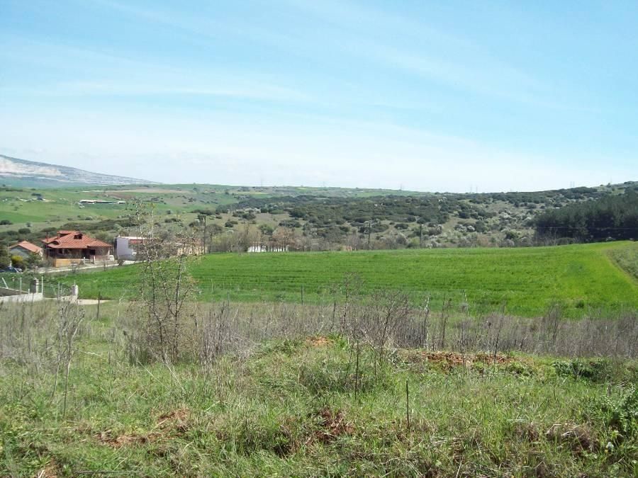 500 m² Plot