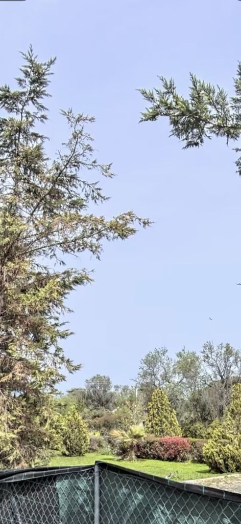 Οικόπεδο 2600 τ.μ.