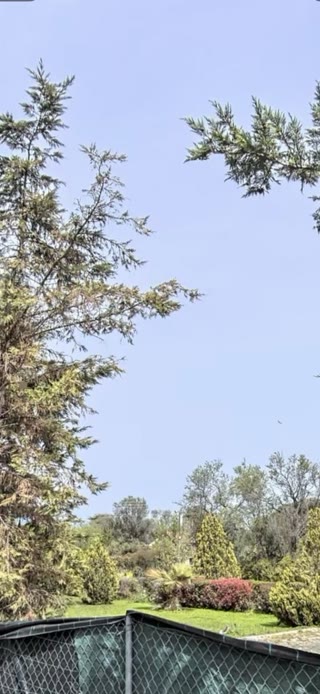 2600 m² Plot