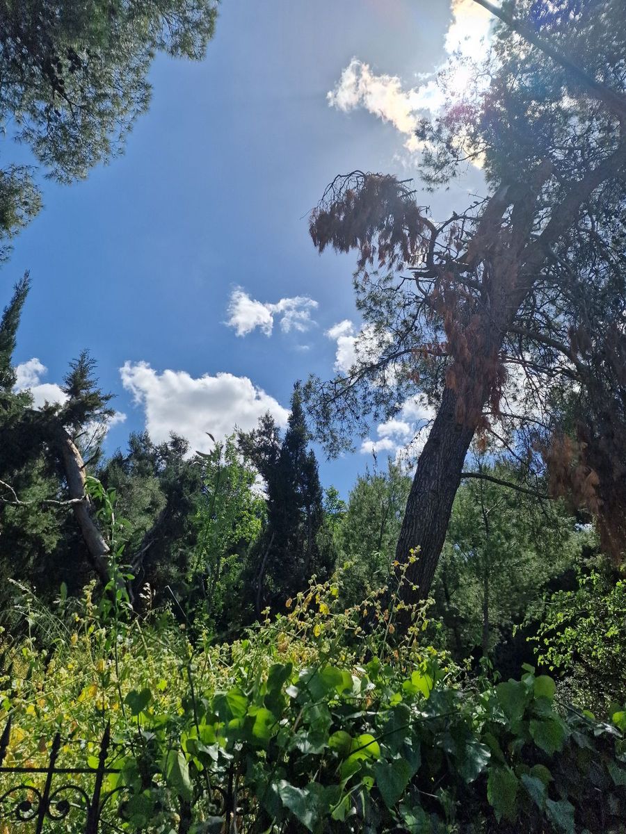 Οικόπεδο 3400τ.μ.