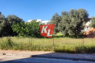 736 m² Plot