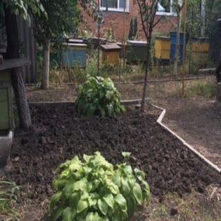 Продам будинок/квартиру в Богодухові зі всіма зручностями