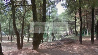 Участок 800 м²