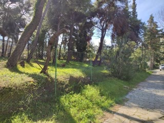 1588 m² Plot