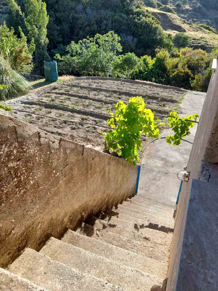 Κτίριο 232τ.μ.