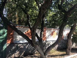 Недвижимость