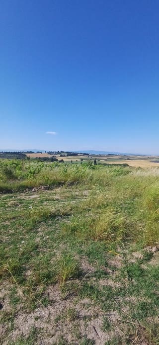 Αγροτεμάχιο 8355 τ.μ.