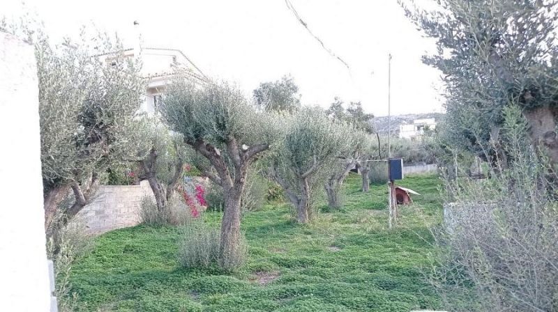 Οικόπεδο 550τ.μ.