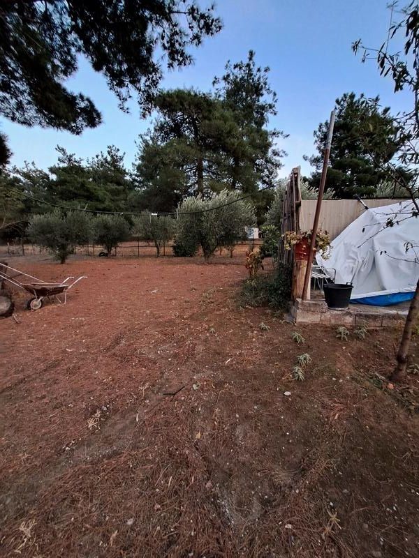 4750 m² Parcel