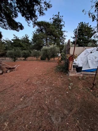 4750 m² Parcel
