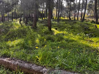 800 m² Plot