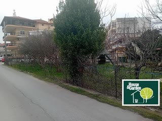 267 m² Plot