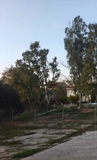 2950 m² Plot