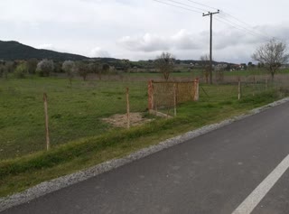 9120 m² Parcel