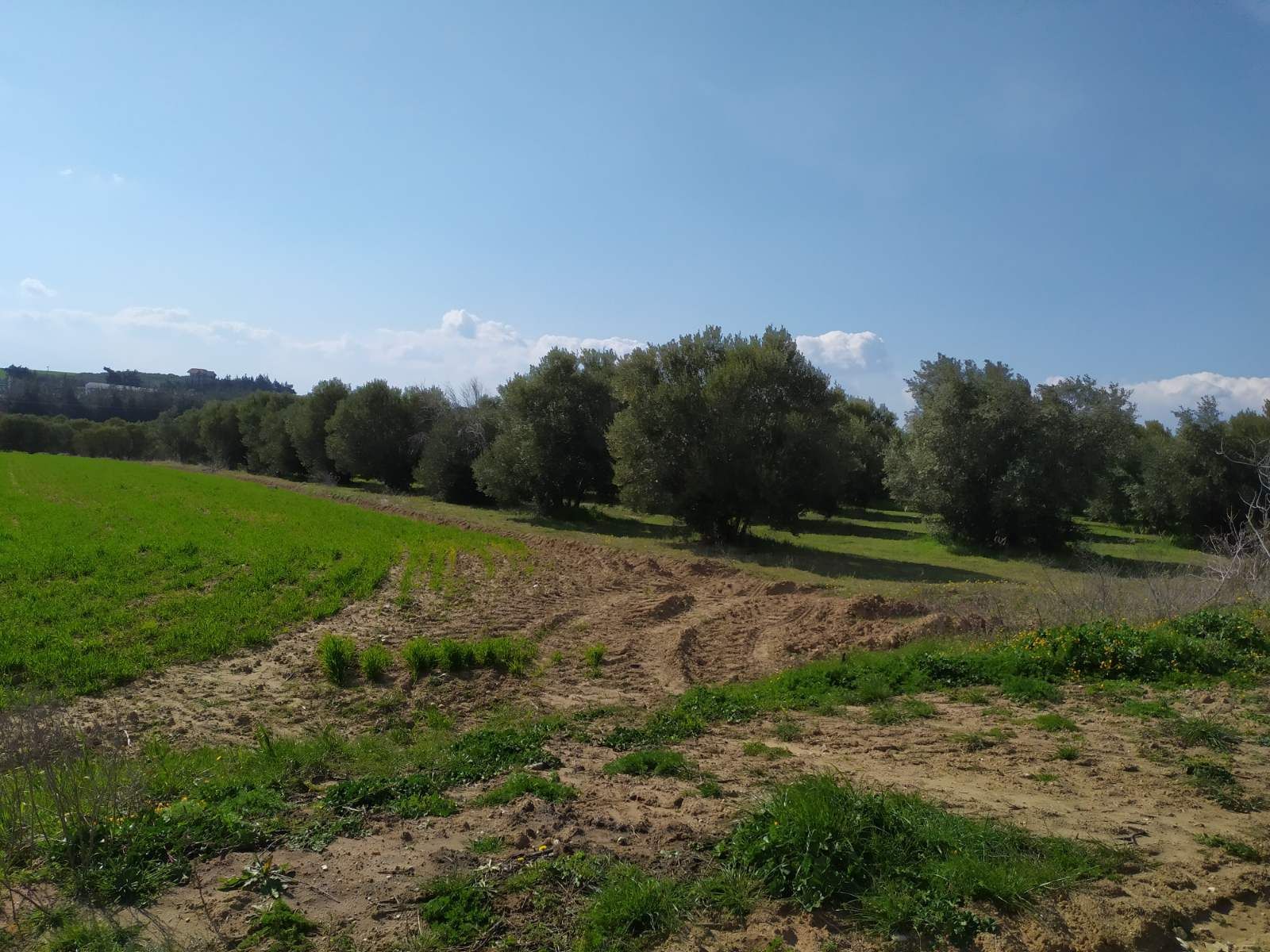 4600 m² Parcel