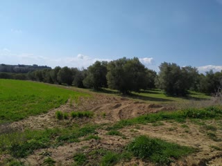 Участок 4600 м²