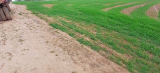 9500 m² Parcel