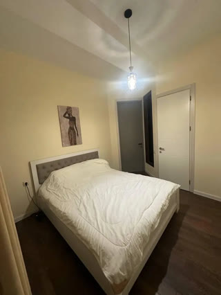 2-room apartment for rent in Saburtalo