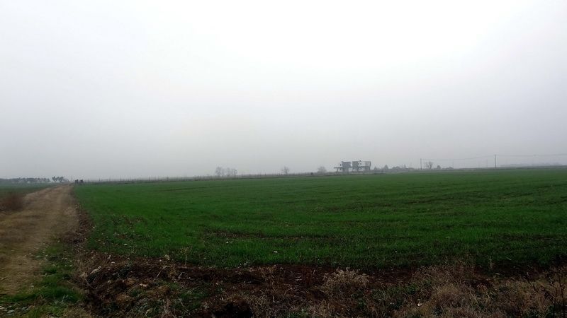 5000 m² Parcel