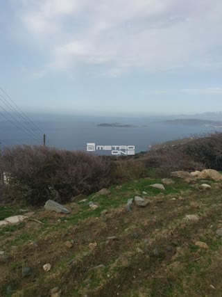 4035 m² Parcel