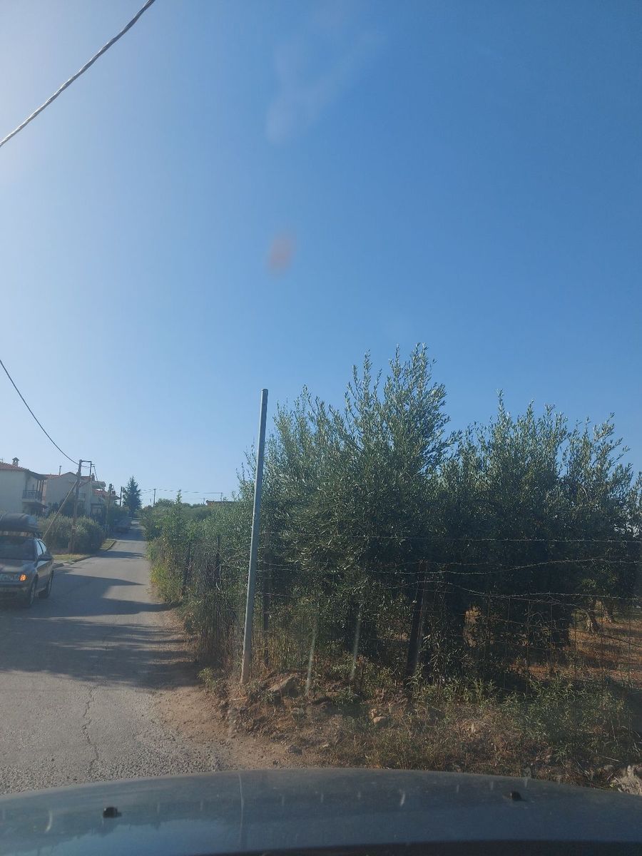 Участок 380 м²