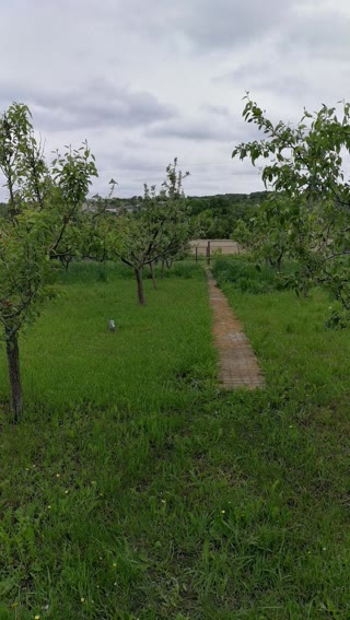 Продам  будинок в Черкаській Лозовій
