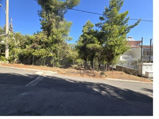 800 m² Plot