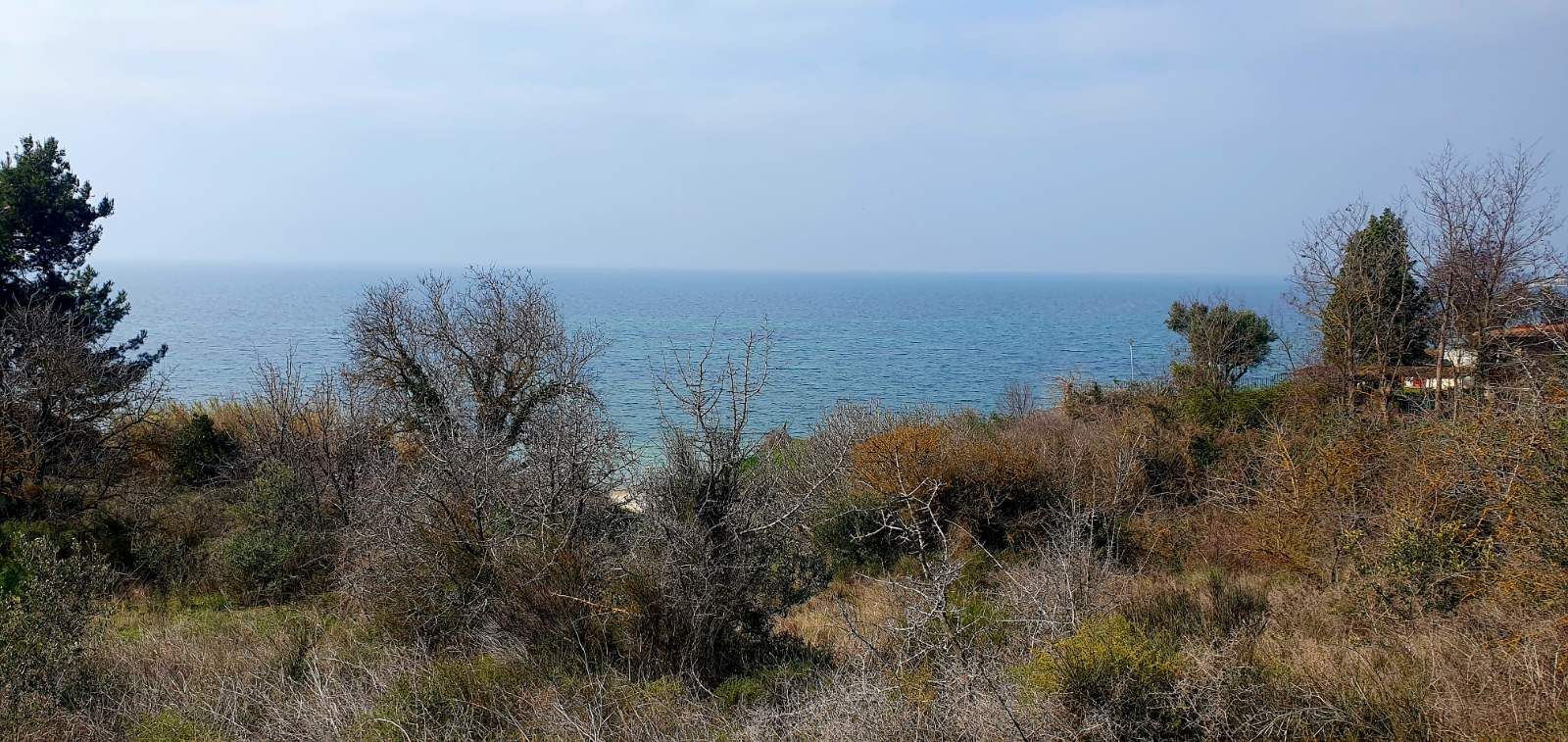 6200 m² Parcel