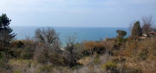 6200 m² Parcel