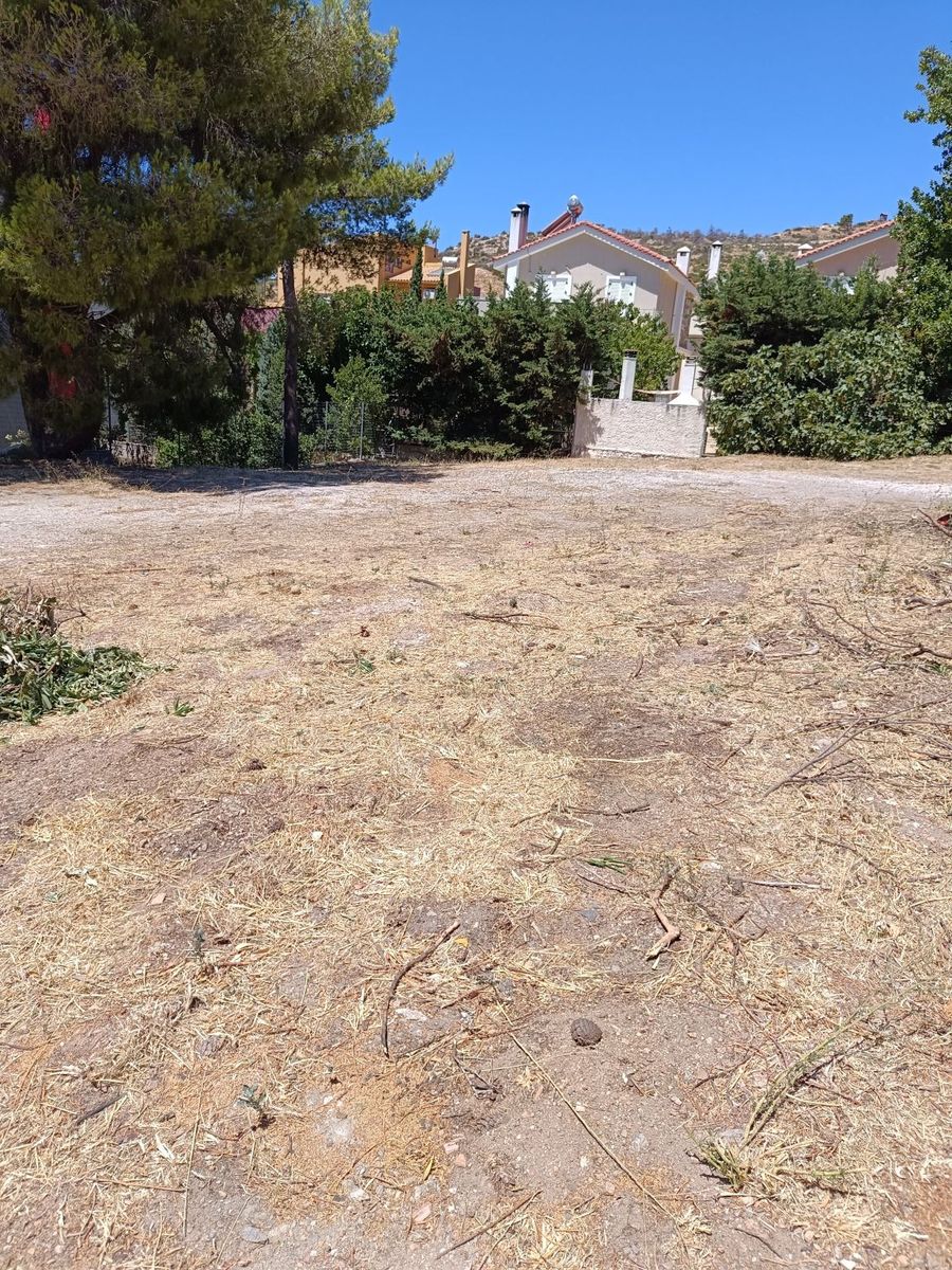 Οικόπεδο 1027 τ.μ.