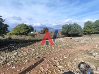 40390 m² Parcel
