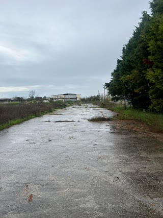 4500 m² Parcel