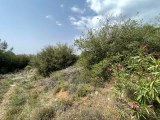 2688 m² Parcel