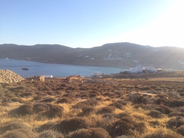 20000 m² Plot
