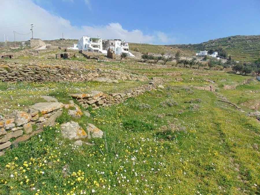 6300 m² Parcel