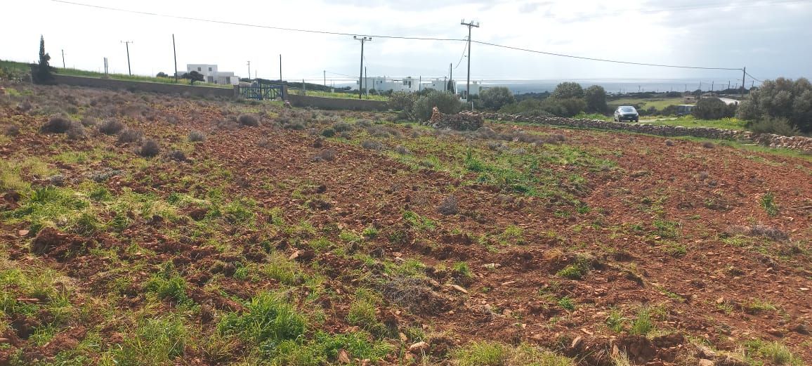 1000 m² Plot