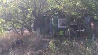 продам дачний участок, с/т парус, Старий Салтів  id_43449409