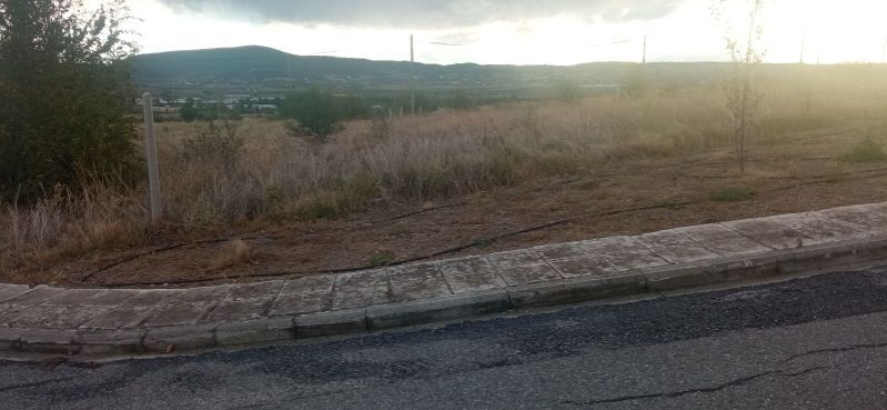 404 m² Plot
