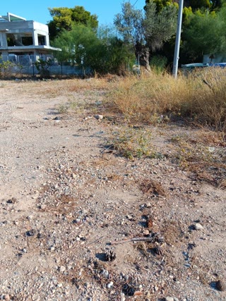 510 m² Plot