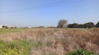 13688 m² Parcel