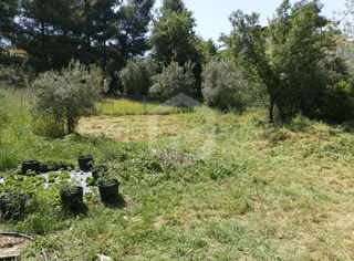350 m² Plot